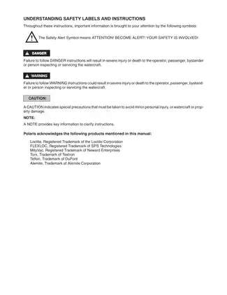 2002 Polaris Personal Watercraft Service Manual Preview image 4