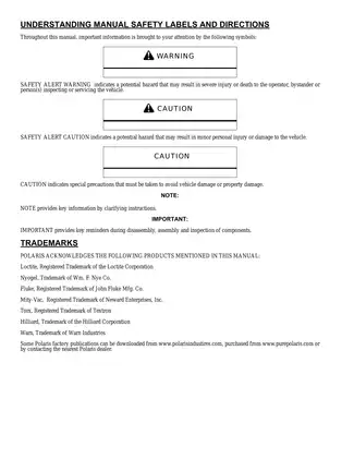 2008 Polaris Sportsman 500 EFI Service Manual Preview image 2