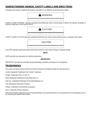 2007 Polaris Sportsman 450/500 EFI Service Manual Preview image 2