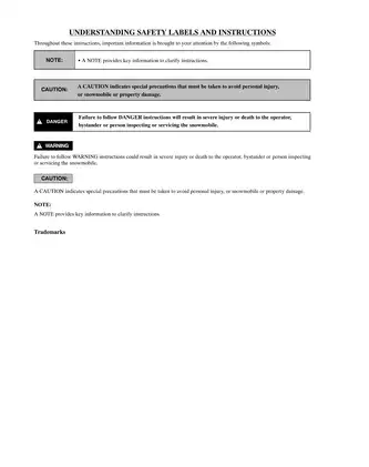Comprehensive 2005 Polaris Snowmobile Service Manual Preview image 2