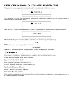 2007 Polaris Sportsman 450 / 500 EFI / 500 X2 EFI Service Manual Preview image 2