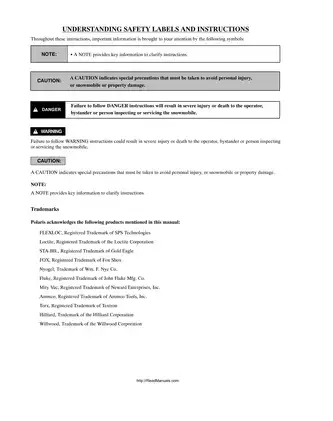 2005 Polaris Trail RMK, 600 RMK, 700 RMK, 800 RMK, 900 RMK, 600 SWITCHBACK, 800 Switchback , 900 Trail RMK Switchback deep snow snowmobile service manual Preview image 2