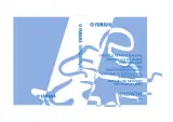 2006 Yamaha WR250F(V) Service Manual (P/N 5UM-28199) – preview page 1