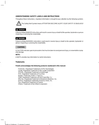 Polaris Snowmobile Service Manual - Trail RMK/SKS/RMK Models (2001) Preview image 3