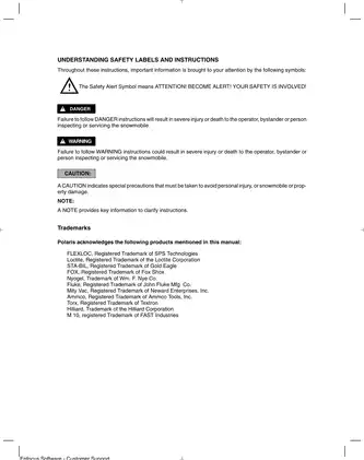 Polaris Snowmobile Service Manual - Repair and Maintenance (2002 Models) Preview image 3