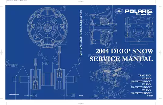 2004 Polaris 600 RMK, 600 Switchback, 700 RMK, 700 Switchback, 800 RMK, 800 Switchback, Trail RMK snowmobile service manual Preview image 1