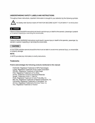 2000 Polaris Snowmobile Service Manual (PN 9915982) Preview image 4