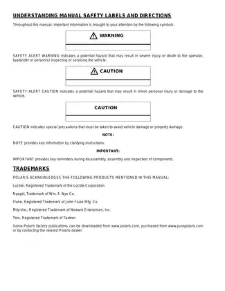 Polaris Phoenix 200 Service Manual (2012-2013) Preview image 2