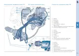 2004–2011 Ferrari 612 Scaglietti Owner's Manual (P/N 68321500) – preview page 6
