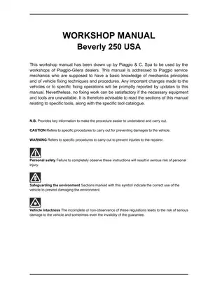 Piaggio Beverly 250, BV250 workshop manual Preview image 3