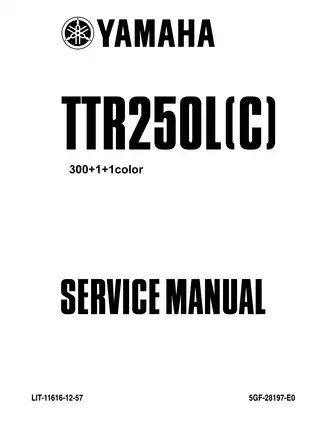 1999-2006 Yamaha TTR250 repair, service manual