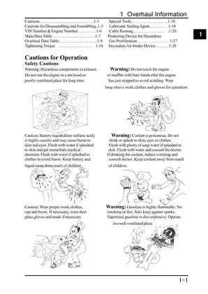 Comprehensive Manual for CHINESE GY6 150cc Scooter Service & Repair Preview image 5