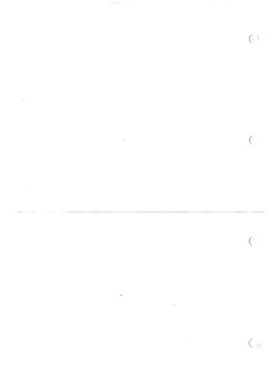 Triumph Speed Triple Motorcycle Service Manual (03.2005) Preview image 2