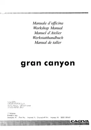 CAGIVA Gran Canyon Motorcycle Workshop Manual (1998 Edition)