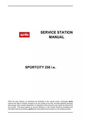 Aprilia SportCity 250 i.e. Service Station Manual - Comprehensive Vehicle Maintenance Guide Preview image 2