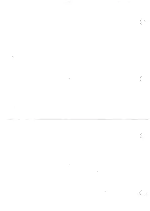 Triumph Speed Triple Motorcycle Service Manual (03.2005) Preview image 2
