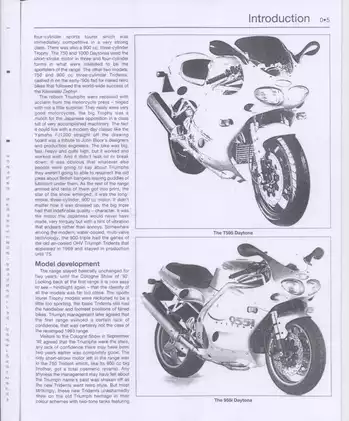 Triumph FI Triples Service and Repair Manual - Comprehensive Guide for Daytona, Speed Triple, and More Preview image 5