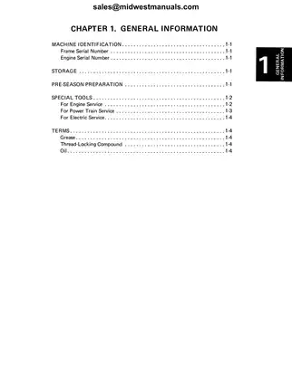Comprehensive Service Manual for Yamaha Phazer 480 Series (1984-1999) Preview image 4