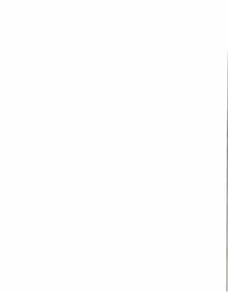 International Cub Cadet Tractors Service Manual GSS-1464 Preview image 2