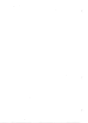 1999-2000 Triumph Tiger 900 service manual Preview image 3