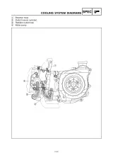2005–2006 Yamaha XC50V / Vino Classic Service & Repair Manual (P/N LIT-11616-19–49) – preview page 4