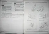 1997–2005 Honda FES250 / Foresight 250 Scooter Service Manual (P/N C4085-91017) – preview page 3