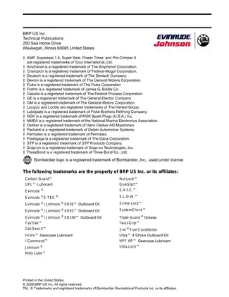 2007 Evinrude E-TEC 115 hp, 150 hp, 175 hp, 200 hp outboard motor service manual Preview image 3