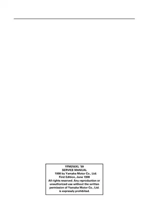 Yamaha YFM250XL 1999 Service and Repair Manual PDF Preview image 2