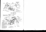 Yamaha IT490 IT250 1984 Owner's Service Manual (P/N 29V-28199-70) – preview page 7