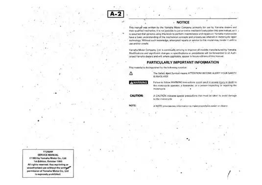 1995 Yamaha TT250RF, TT250 trail bike service manual Preview image 2