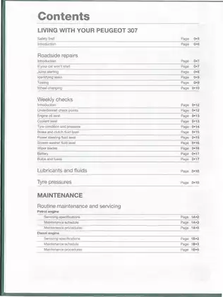 Comprehensive Repair Manual for Peugeot 307 (2001-2004) Preview image 3