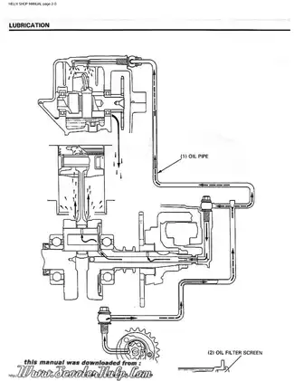 Honda Helix Scooter Complete Service Manual (1993) Preview image 3