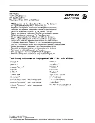 2008 Evinrude E-TEC 250 hp, 300 hp, V6, 3,4 L outboard motor service manual Preview image 3
