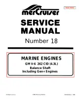 1993–1999 MerCruiser 4.3L (262 CID) Service Manual (P/N 90-823226-1) – preview page 1