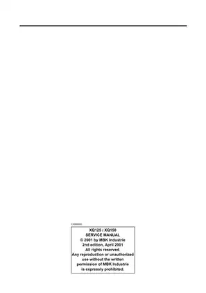 Comprehensive Yamaha MBK XQ125/XQ150 Service Manual - Maintenance and Repair Guide Preview image 2