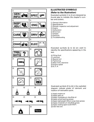 1989-2004 Yamaha Breeze manual Preview image 4