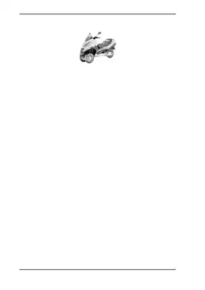 Piaggio MP3 250 i.e. Service Station Manual - Comprehensive Guide for Mechanics and DIY Enthusiasts Preview image 4
