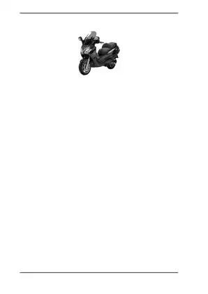 Piaggio X9 Evolution 500 Workshop Manual - Comprehensive Guide to Maintenance and Repairs Preview image 4