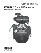 Kohler CH18, CH20, CH22, CH23, CH25, CH26, and CH730–750 Variants Command Horizontal Engine 1991–2007 Service Manual (P/N TP-2428-C) – preview page 1