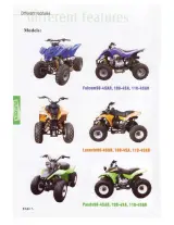 2003–2010 Kazuma Panda, Lacoste, Falcon, and Raptor 90cc-150cc ATV Owner's Manual (P/N C100HD001) – preview page 2