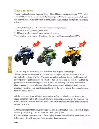 Kazuma Falcon 110, Panda,  Falcon, Raptor, Lacoste owners manual Preview image 4