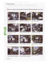 2003–2010 Kazuma Panda, Lacoste, Falcon, and Raptor 90cc-150cc ATV Owner's Manual (P/N C100HD001) – preview page 6