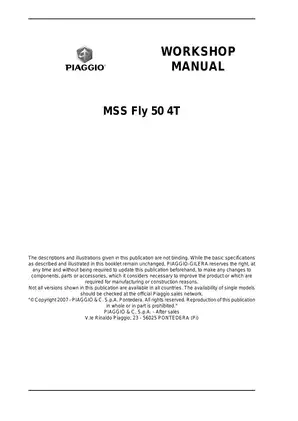 Piaggio MSS Fly 50 4T Workshop Manual - Comprehensive Service Guide Preview image 2