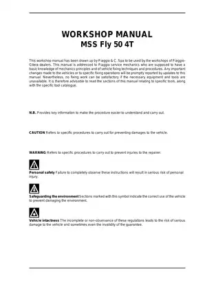 Piaggio MSS Fly 50 4T Workshop Manual - Comprehensive Service Guide Preview image 3