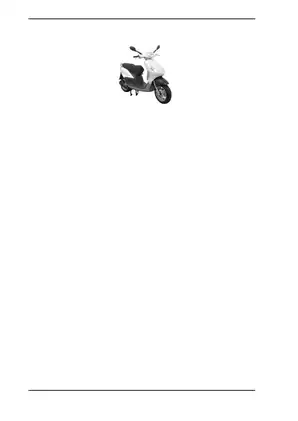Piaggio MSS Fly 50 4T Workshop Manual - Comprehensive Service Guide Preview image 4