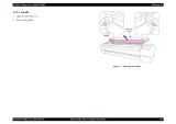 2007 Epson Stylus Pro 11880/11880C Factory Service Manual (P/N SEIJ07008) – preview page 5