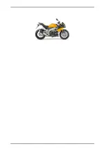 2011 Aprilia Tuono V4 R a-PRC Service Station Manual (P/N 899005) – preview page 4