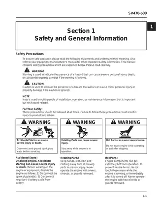 2002-2004 Kohler Courage SV470, SV480, SV530, SV540, SV590, SV600 vertical crankshaft service manual Preview image 3