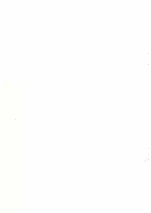 Suzuki T500-II Motorcycle Service Manual: Comprehensive Repair Guide Preview image 2
