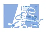 2010 Yamaha YZ250F(Z) Owner's Service Manual (P/N 17D-28199-30-E0) – preview page 1